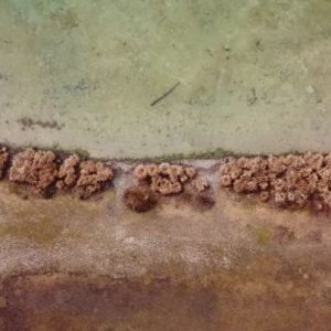 89388419_627711404629844_2309436196724225824_n